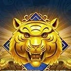 Tiger's Roar